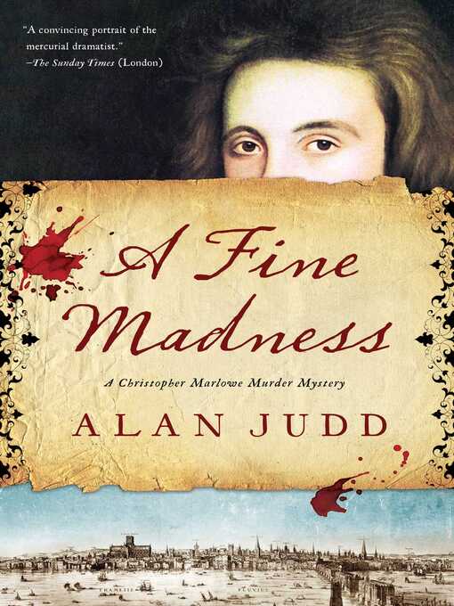 Title details for A Fine Madness by Alan Judd - Wait list